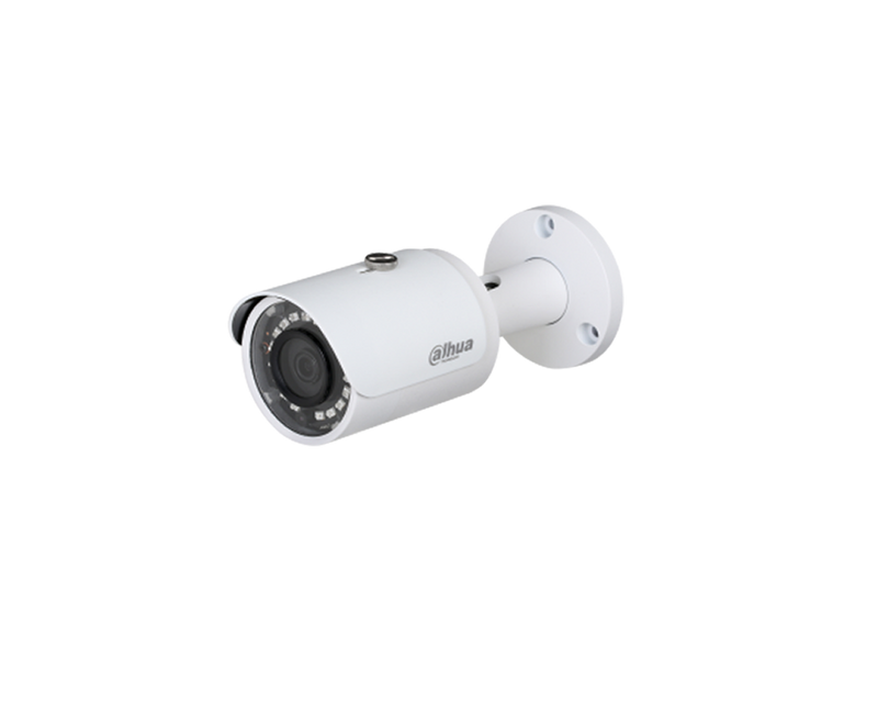 Dahua 1320 online ip camera